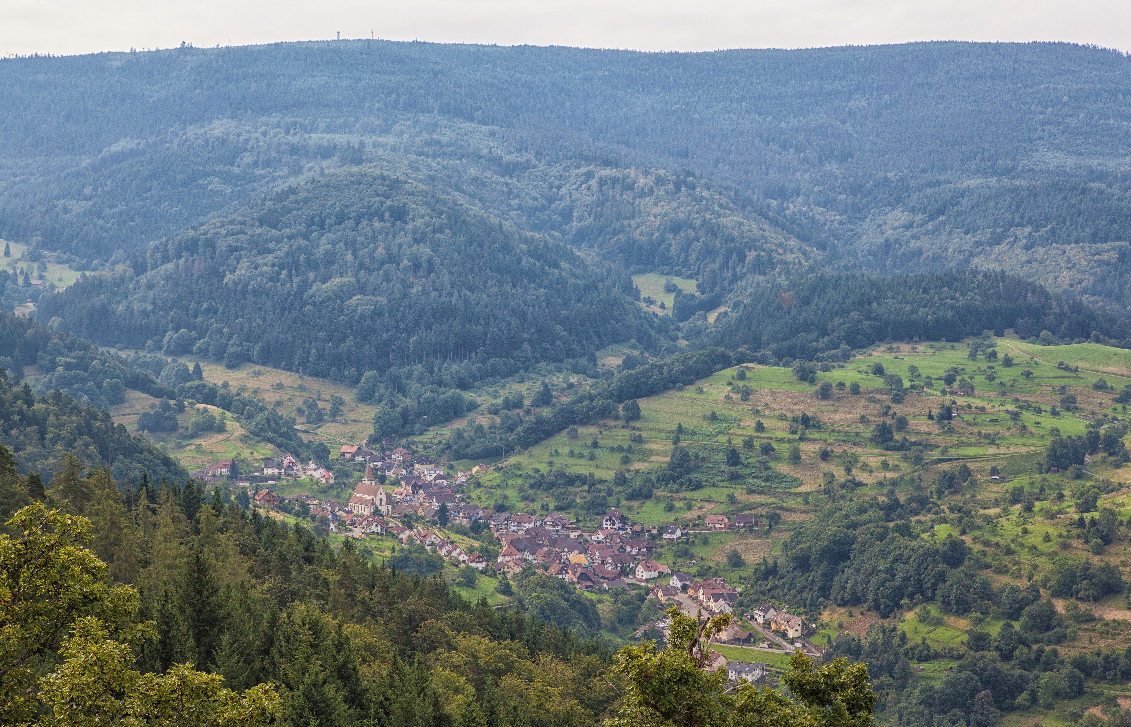 A valley with a small town surrounded by forested hills.