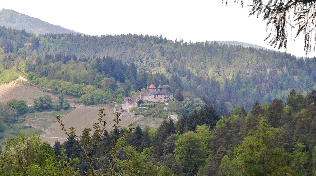 Schloss Eberstein
