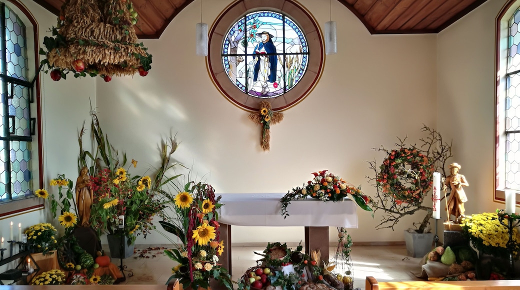 Deutschland (D) - Baden-Württemberg (BW) - Landkreis Konstanz (KN) - Mühlingen, Ortsteil Hecheln: St. Wendelin-Kapelle - Innenraum zum Erntedankfest 2017 geschmückt