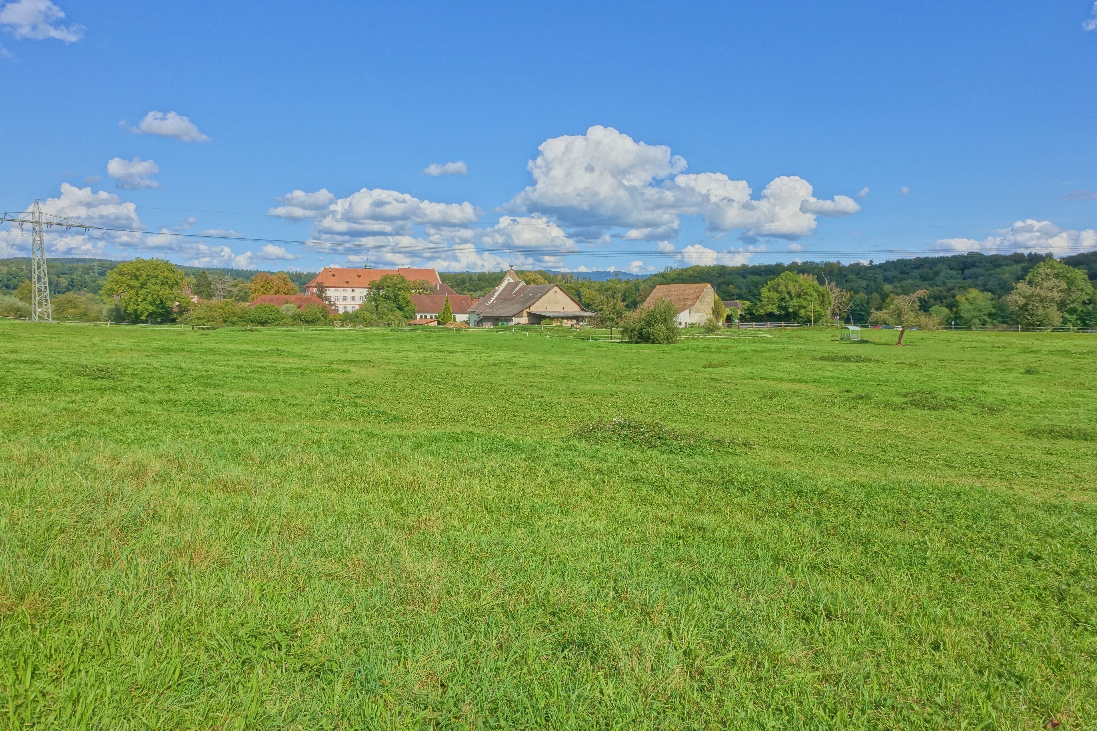 Im Landschaftsschutzgebiet Schloß Beuggen.