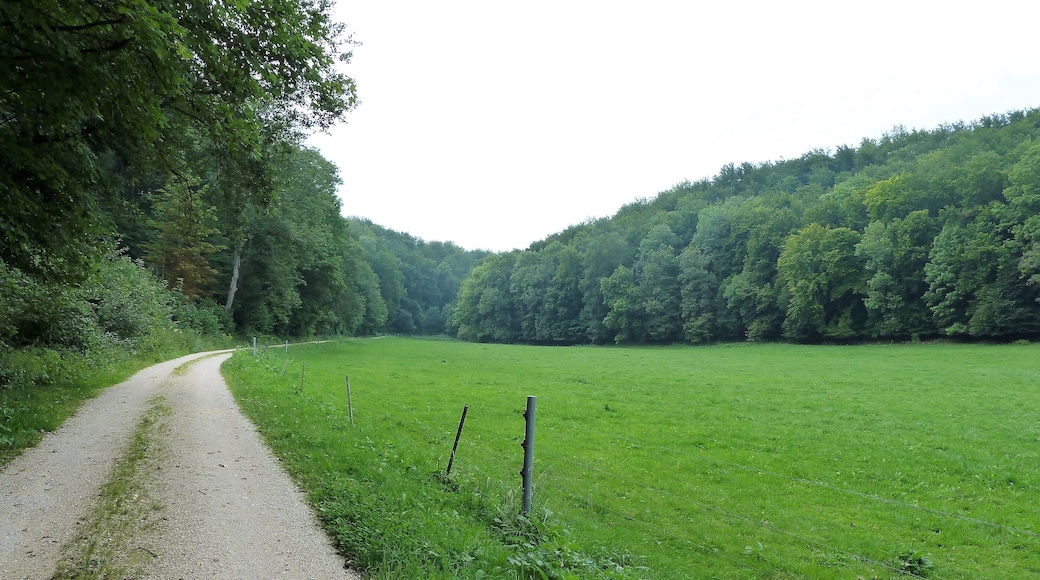 (LSG:BW-4.25.140)_Ehingen, Wandergebiet beim Schloss Mochental