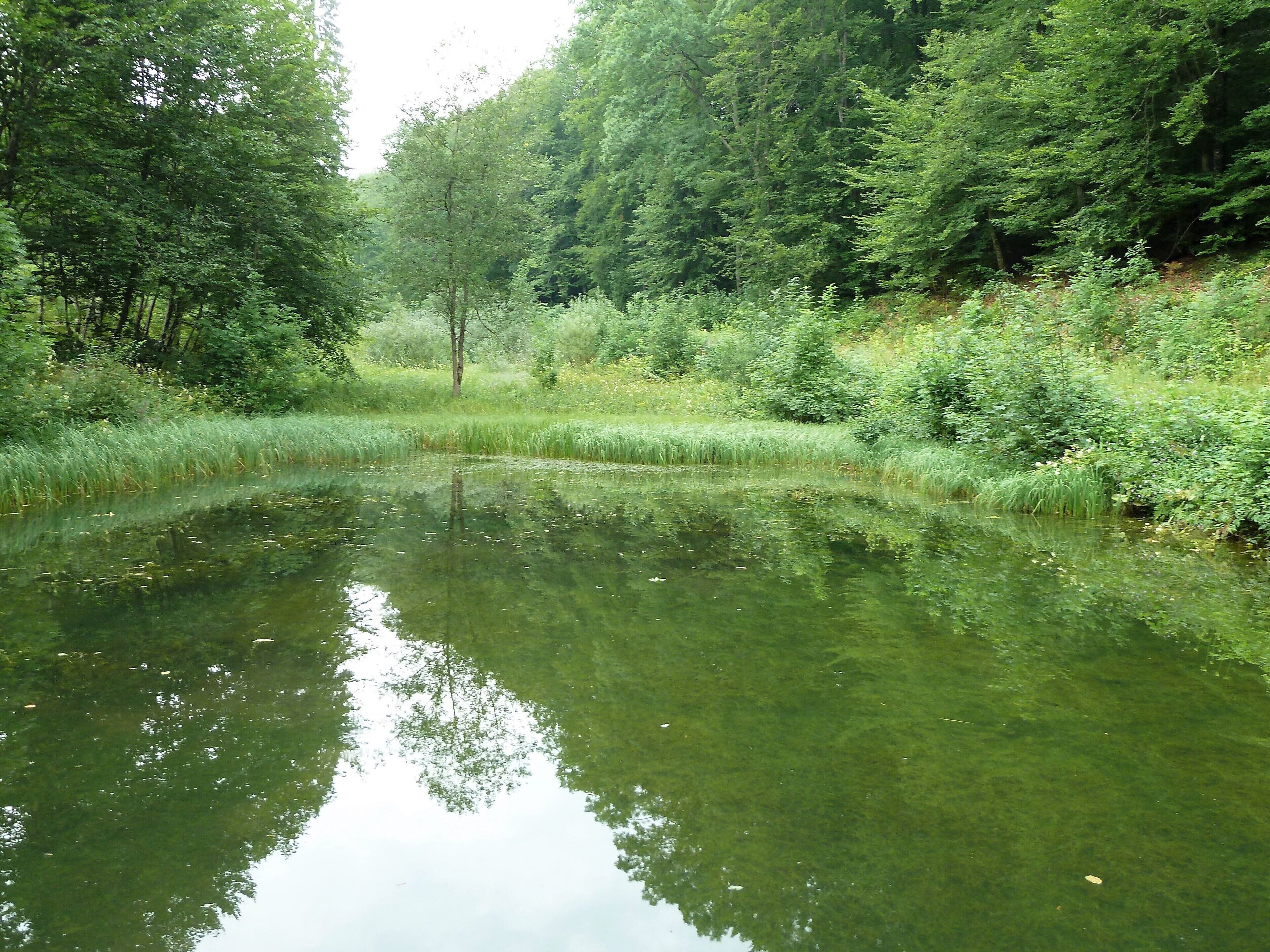 (LSG:BW-4.25.140)_Ehingen, Wandergebiet beim Schloss Mochental