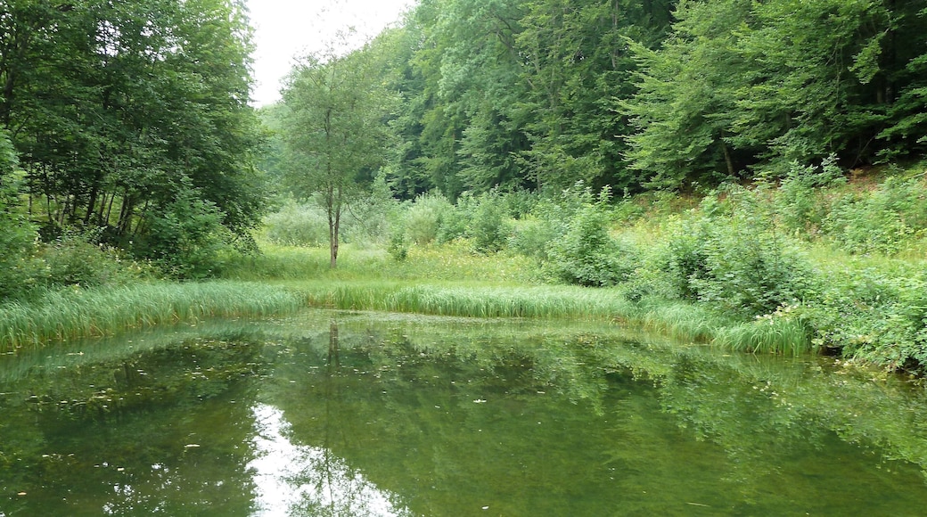 (LSG:BW-4.25.140)_Ehingen, Wandergebiet beim Schloss Mochental