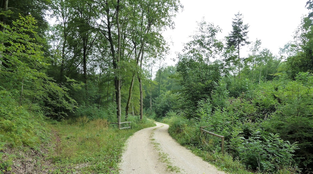 (LSG:BW-4.25.140)_Ehingen, Wandergebiet beim Schloss Mochental