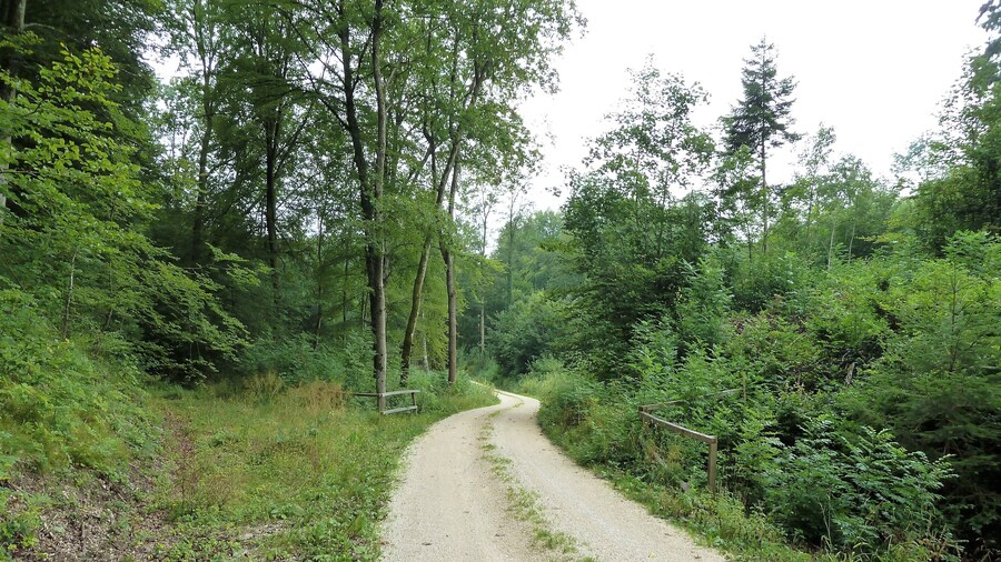 (LSG:BW-4.25.140)_Ehingen, Wandergebiet beim Schloss Mochental