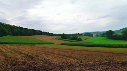 Other Direction Other Thunderstorm