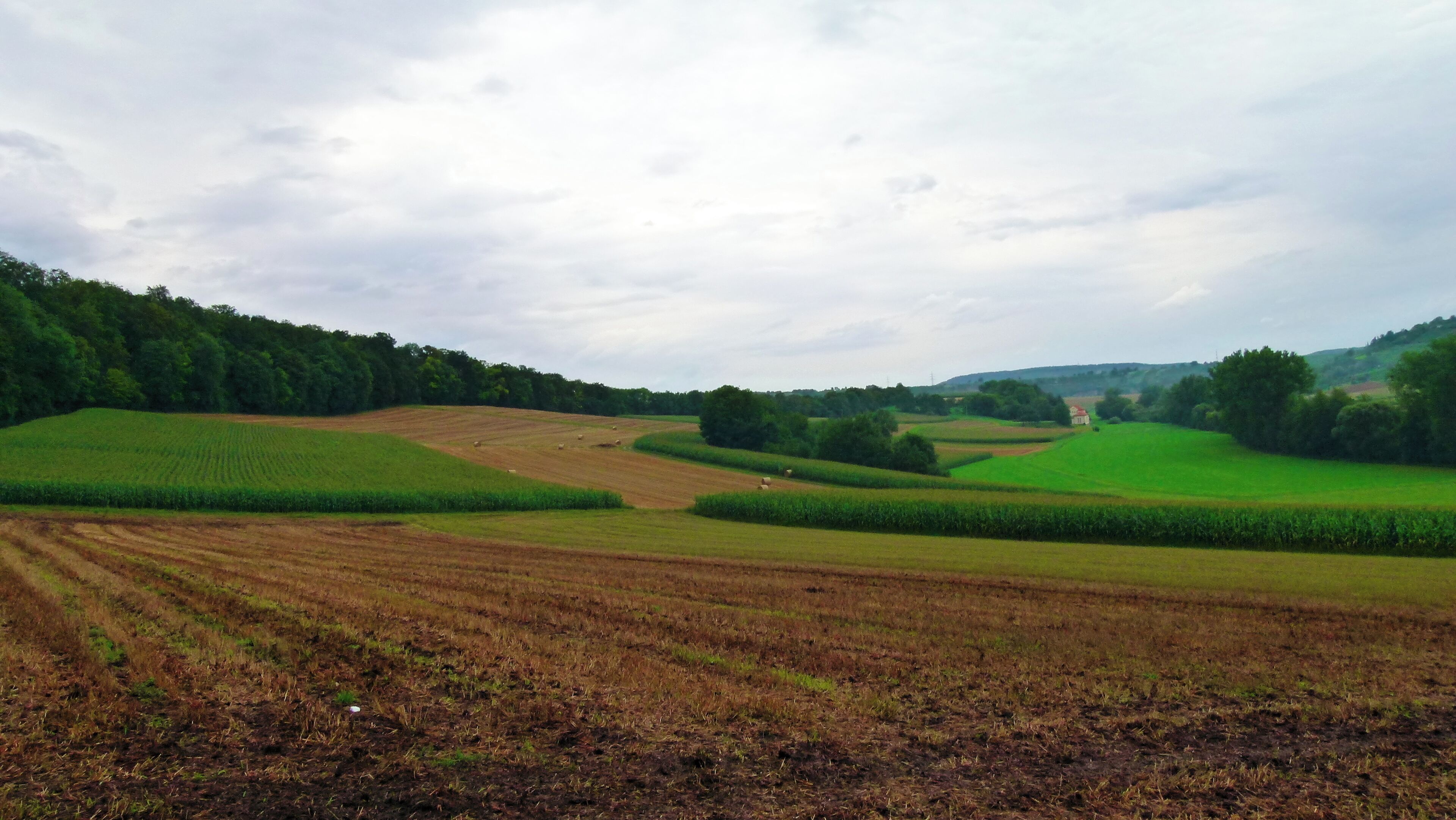 A rural landscape with fields, hedgerows, and a distant building.
