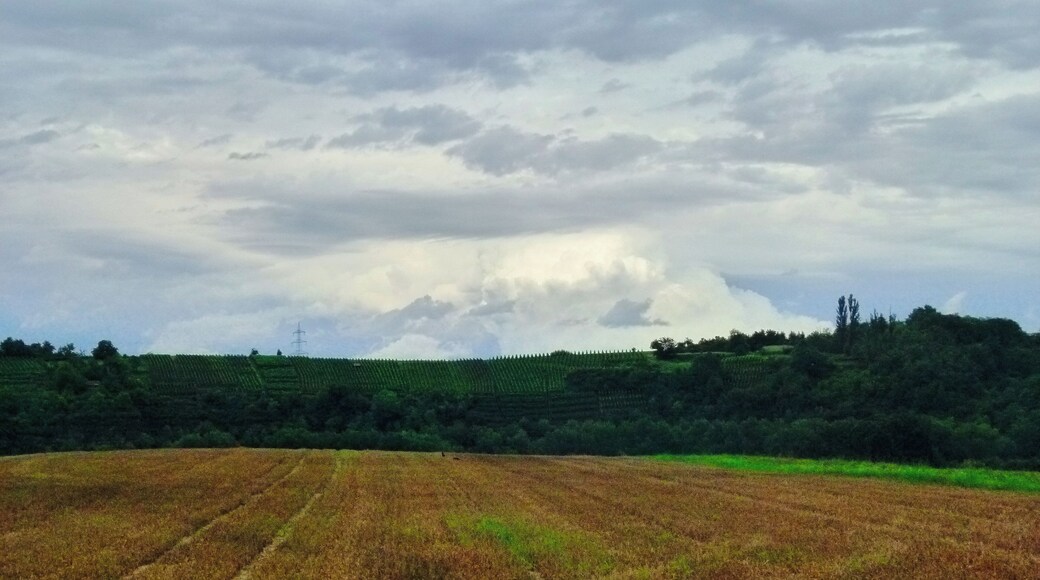 To Much Thunderstorms For This Year