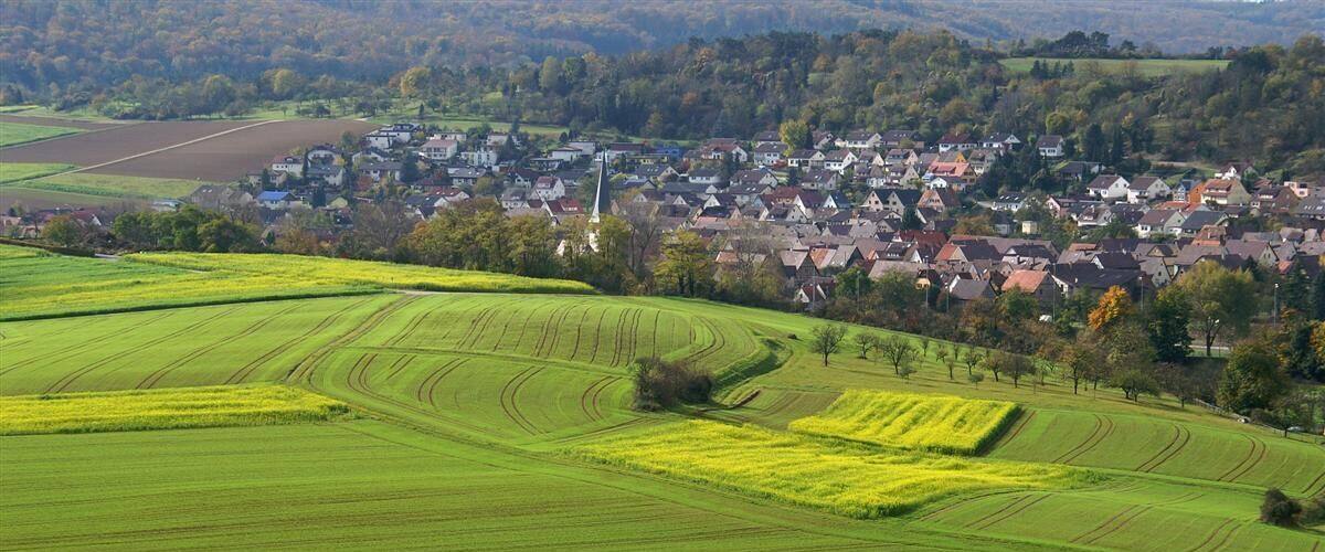 Rapsfelder bei Mühlhausen