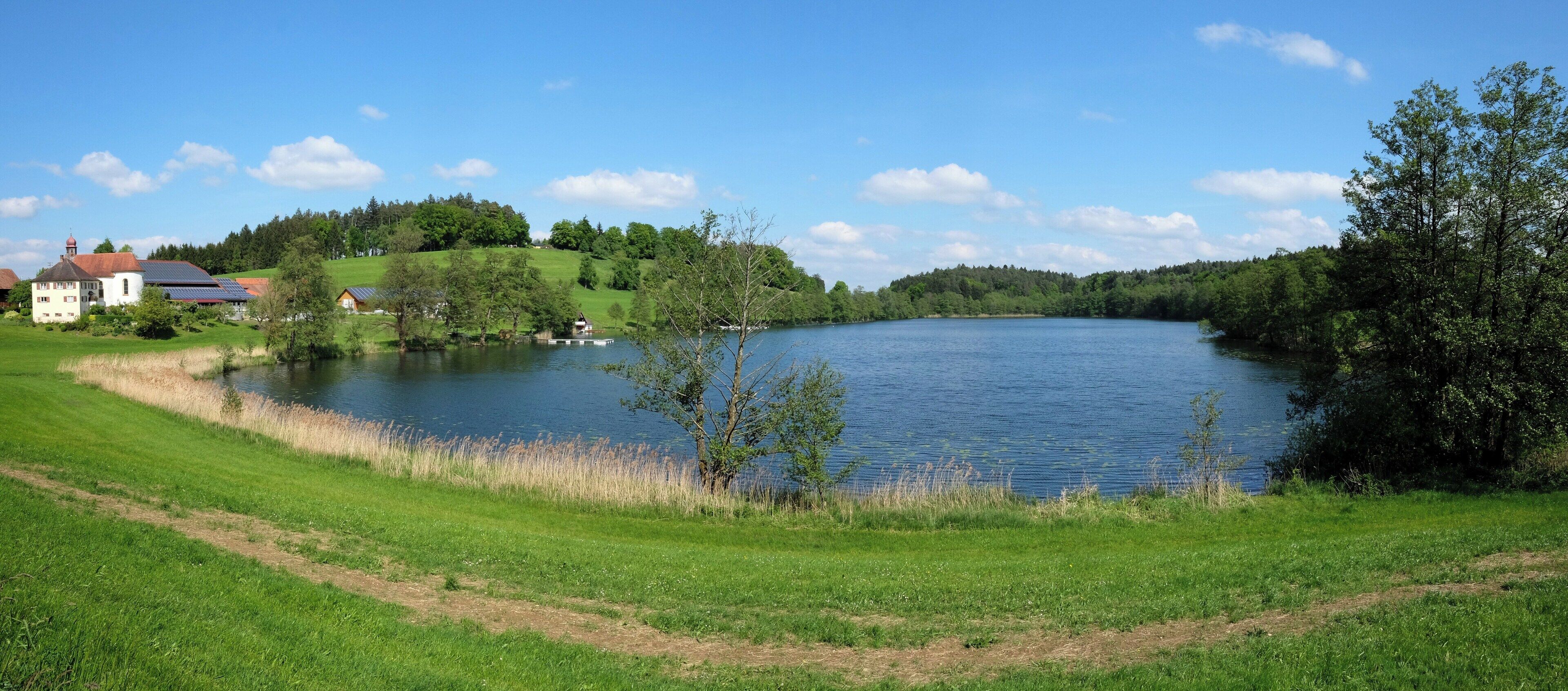 A lake surrounded by lush greenery and a few buildings.