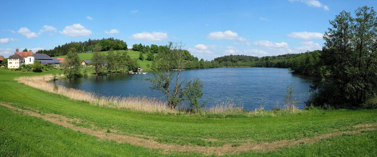 A lake surrounded by lush greenery and a few buildings.