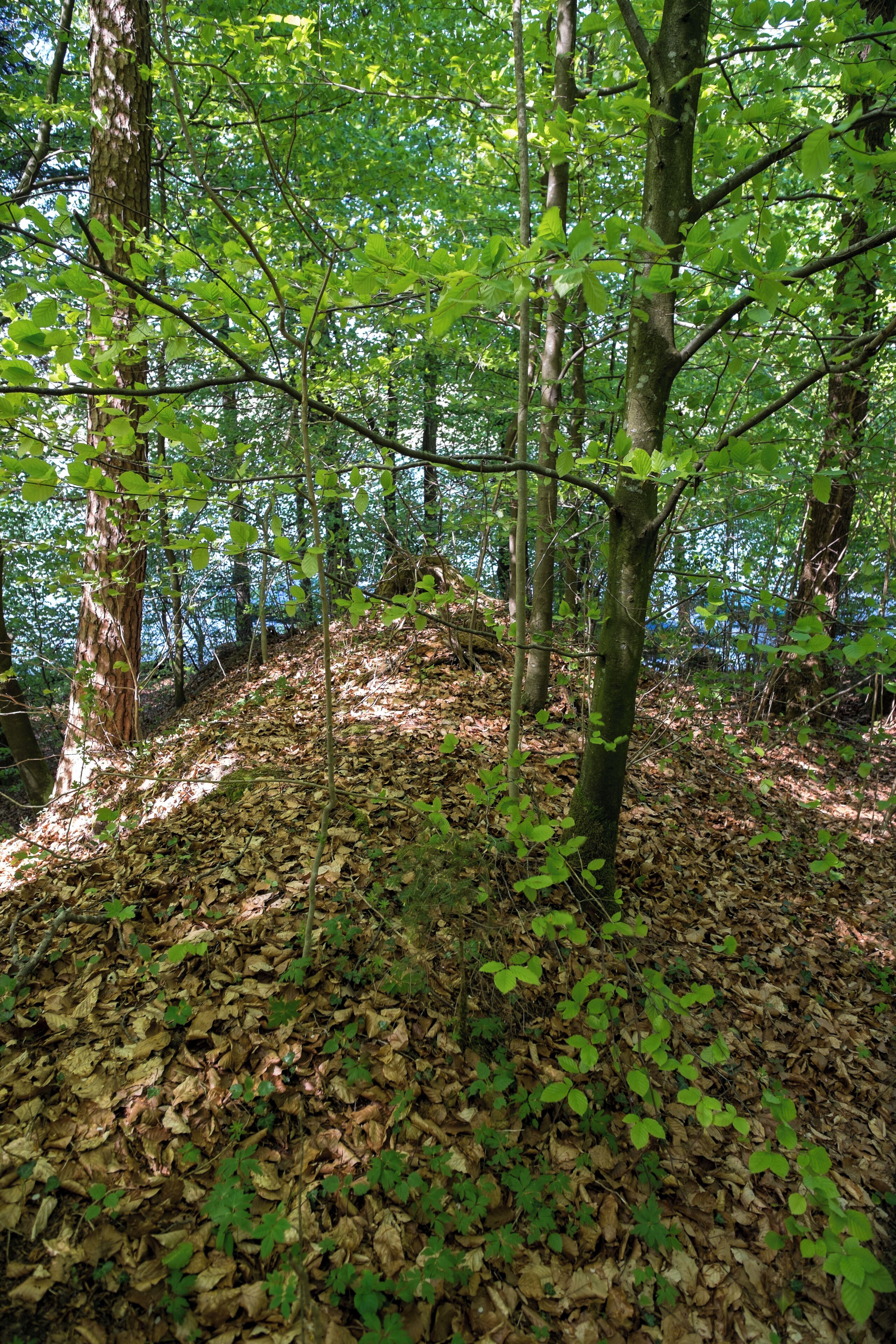 Demolished castle Käpfle, Tettnang-Wettis, district Bodenseekreis, Baden-Württemberg, Germany