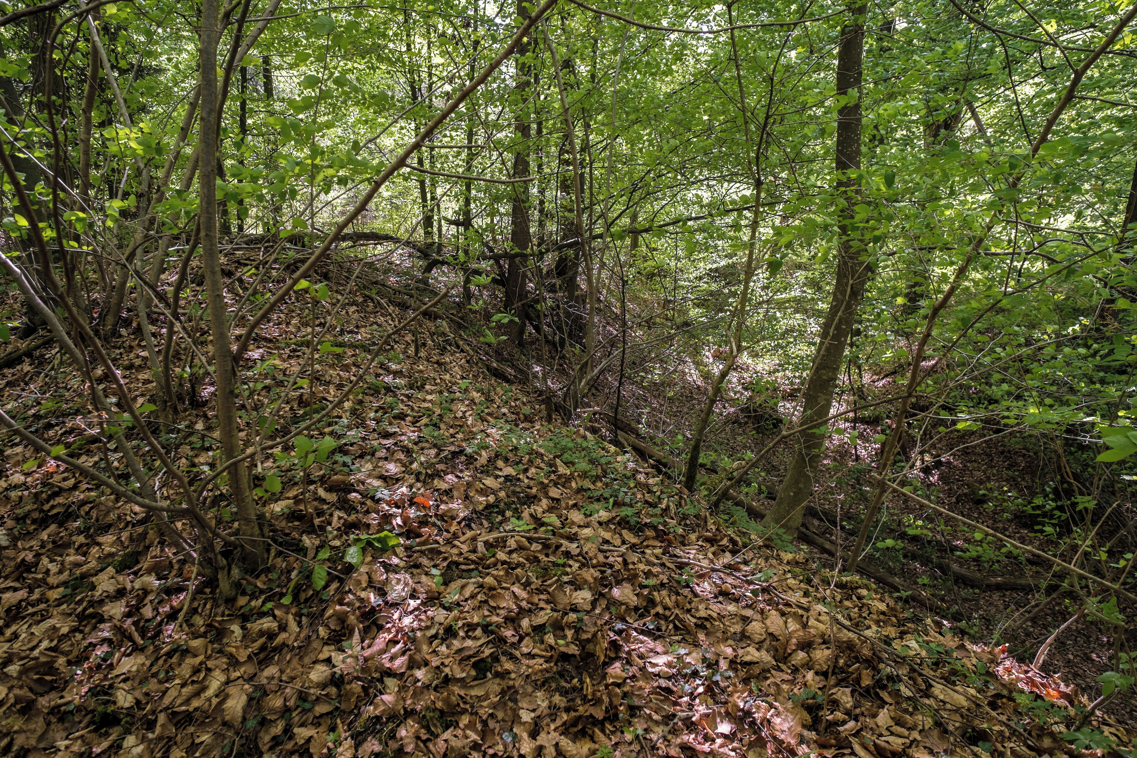 Demolished castle Käpfle, Tettnang-Wettis, district Bodenseekreis, Baden-Württemberg, Germany