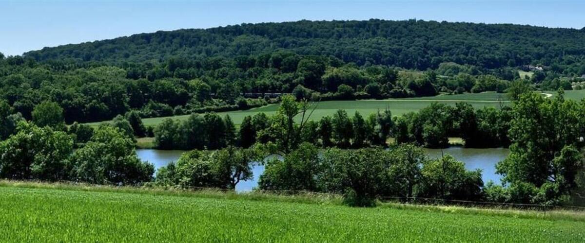 A lush green landscape with rolling hills, a river, and distant power lines.
