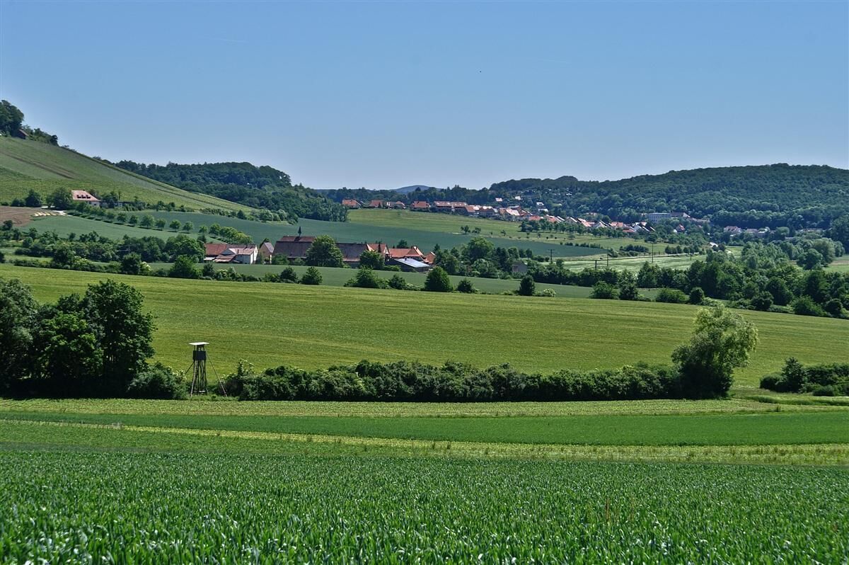 Elfinger Hof und Maulbronn 2