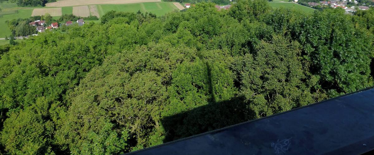 A panoramic view of a town surrounded by lush green fields and forests.
