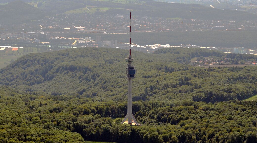 aerial view of Television Tower St. Chrischona