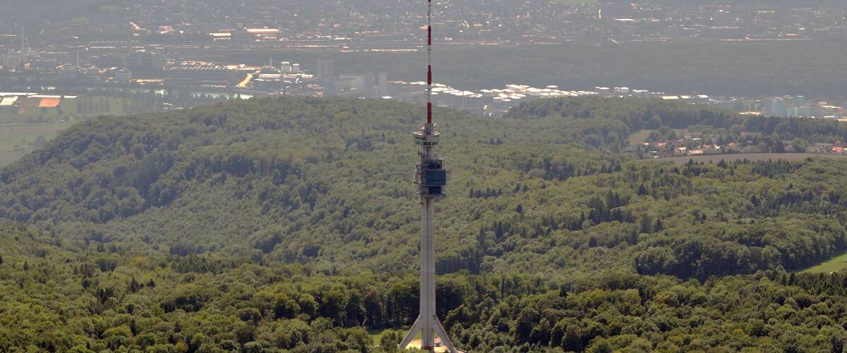 A tall communication tower surrounded by dense forest and a distant cityscape.