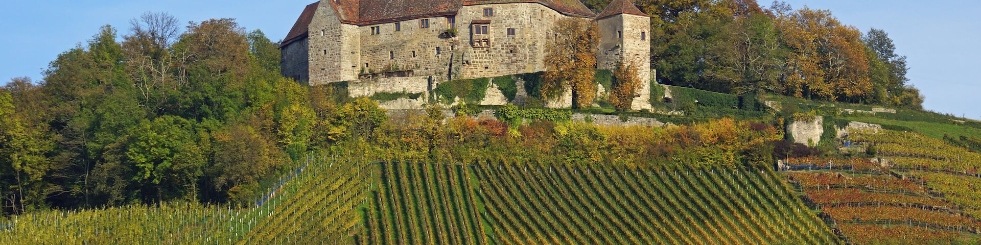 Großbottwar, Burg Lichtenberg 11/2014