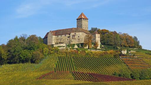 Großbottwar, Burg Lichtenberg 11/2014