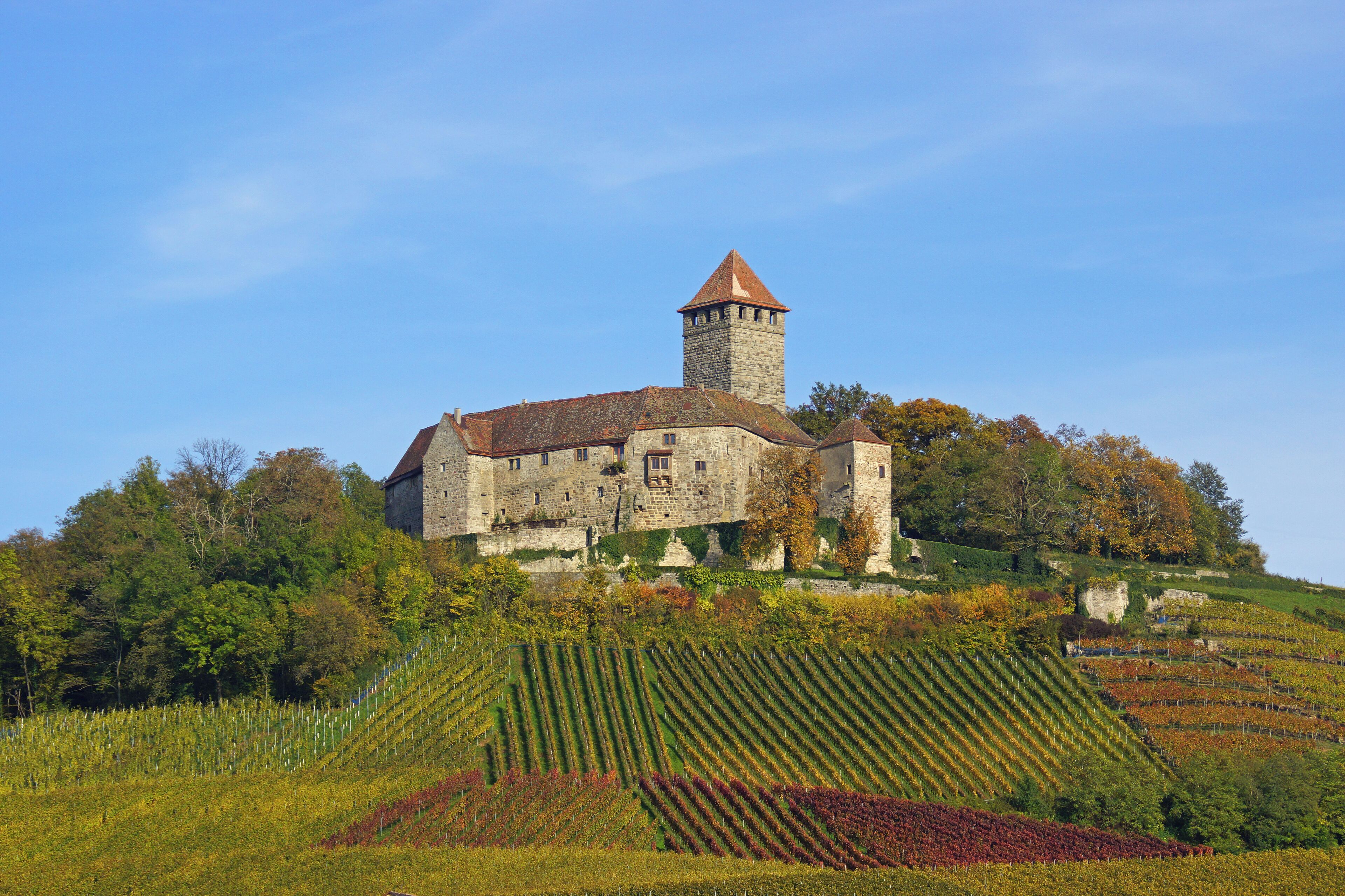 A historic stone building with a tower on a hill, surrounded by vineyards.