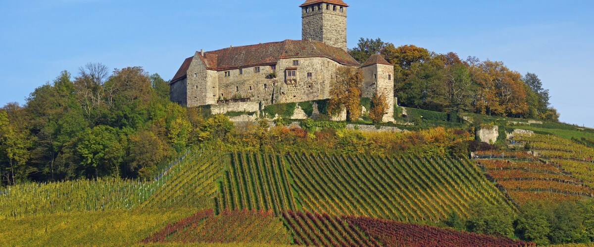 A historic stone building with a tower on a hill, surrounded by vineyards.