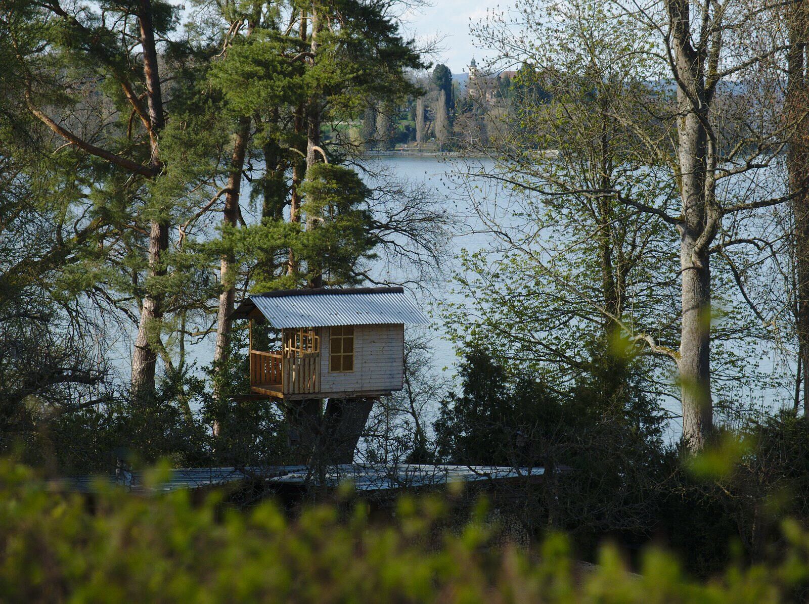 A treehouse cabin by a lake surrounded by trees.