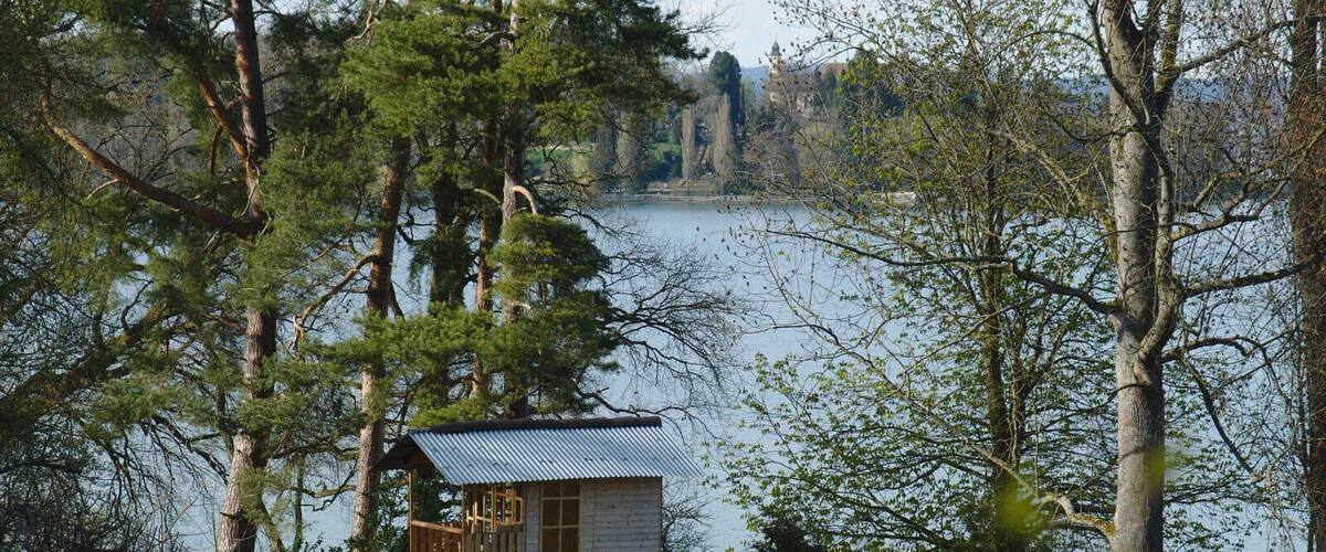 A treehouse cabin by a lake surrounded by trees.