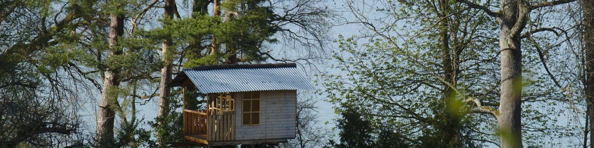 A treehouse cabin by a lake surrounded by trees.