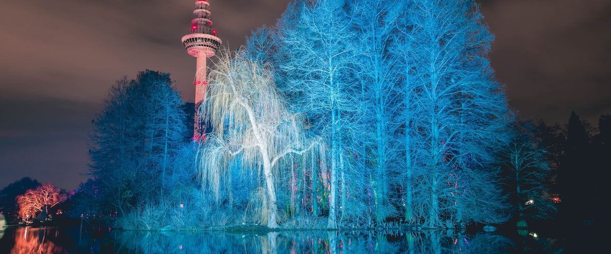 Ein Turm mit roten Lichtern, umgeben von blau beleuchteten Bäumen, deren Spiegelung sich auf einer Wasseroberfläche zeigt.