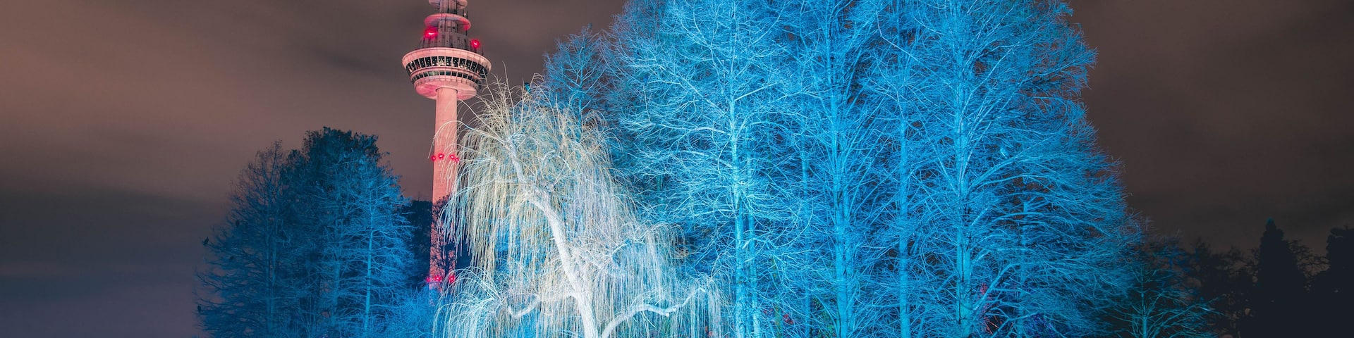 A tower with red lights, surrounded by trees illuminated in blue, reflecting on a body of water.