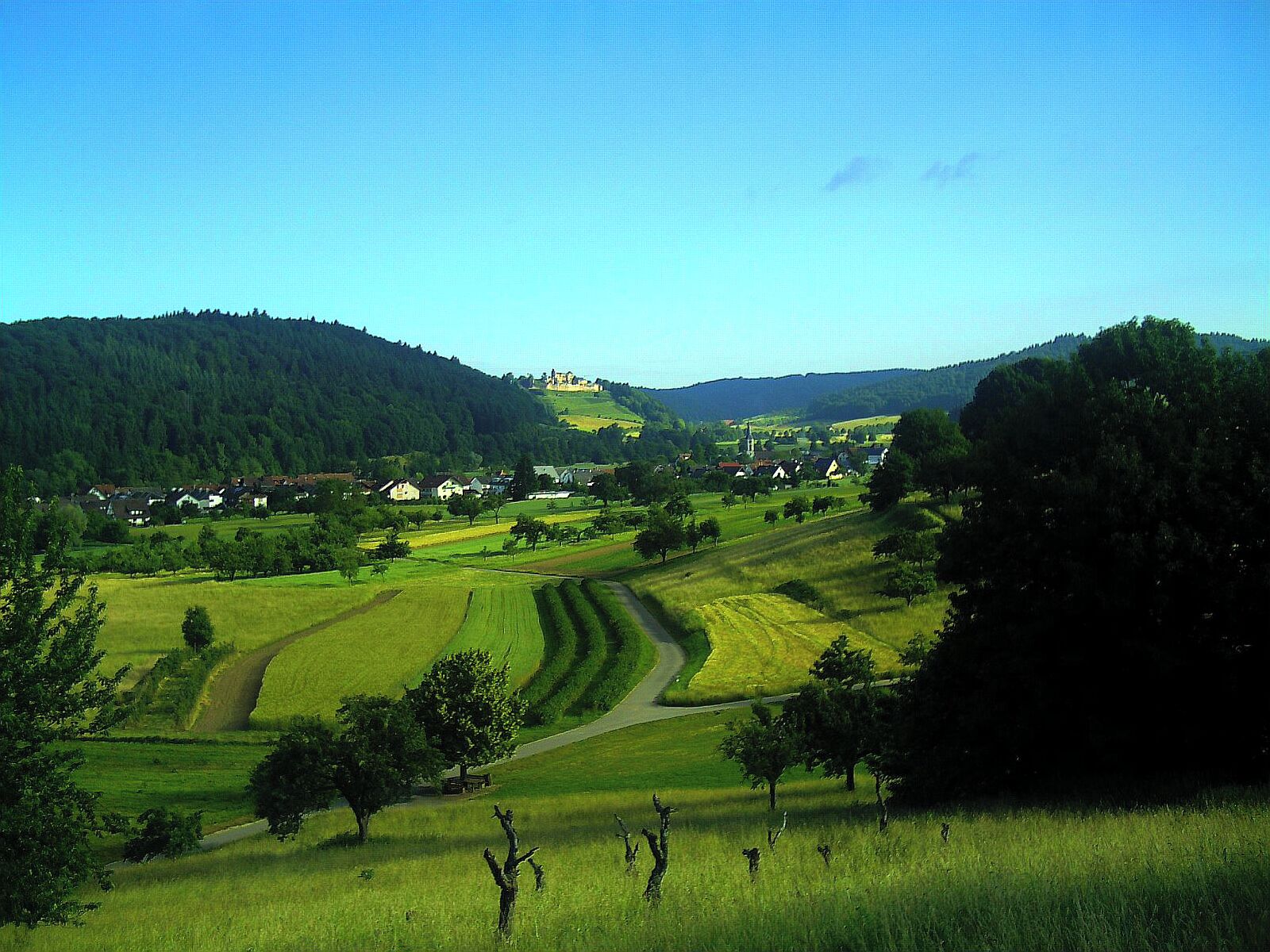 Sexau - Blick zum Hochburg Rhine Valley