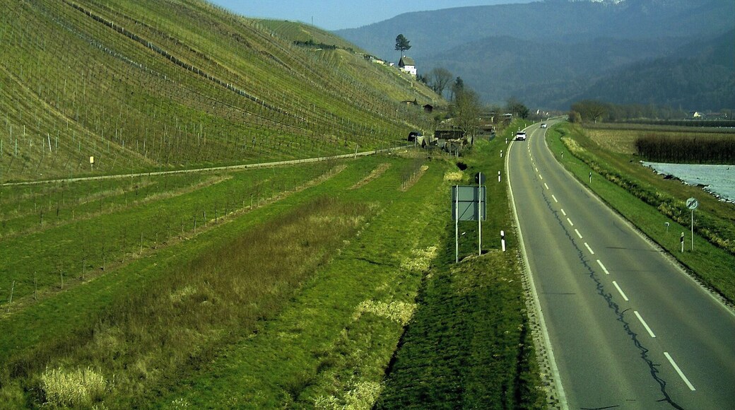 March Frühling Buchholz Panorama Kandel