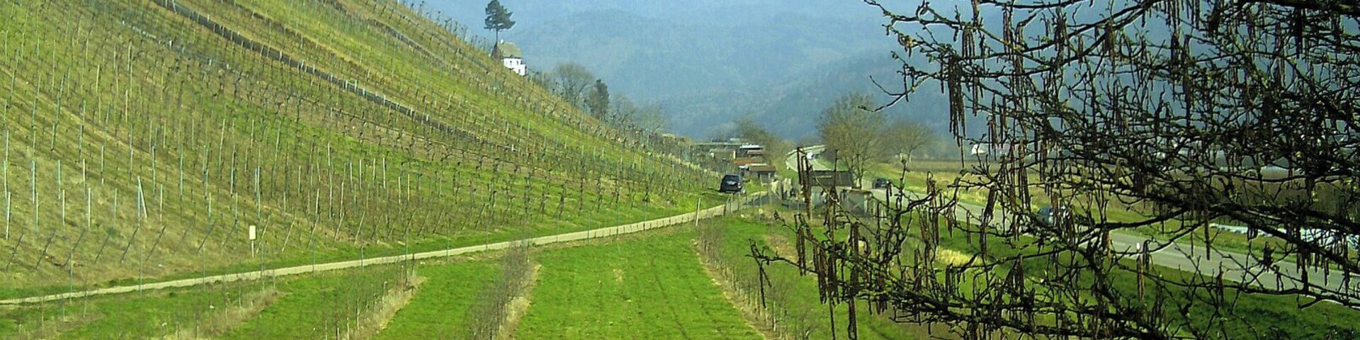 Kandel, von Buchholz gesehen