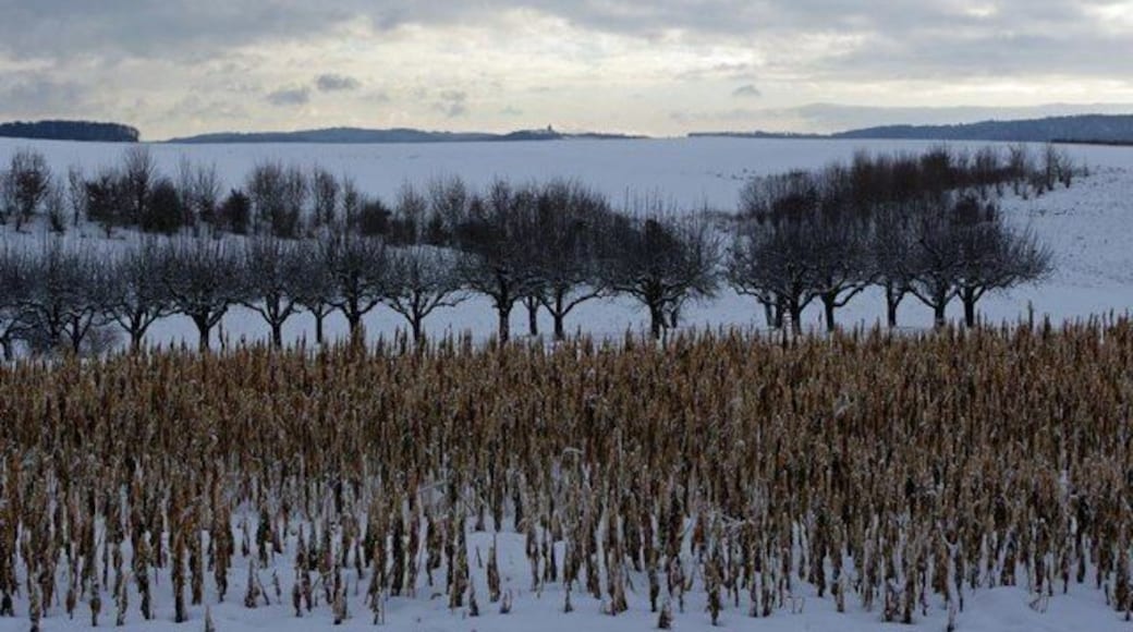 Winterlandschaft