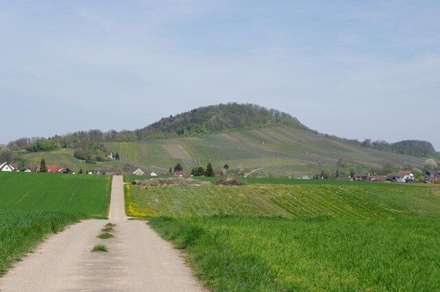 Feldweg nach Winzerhausen
