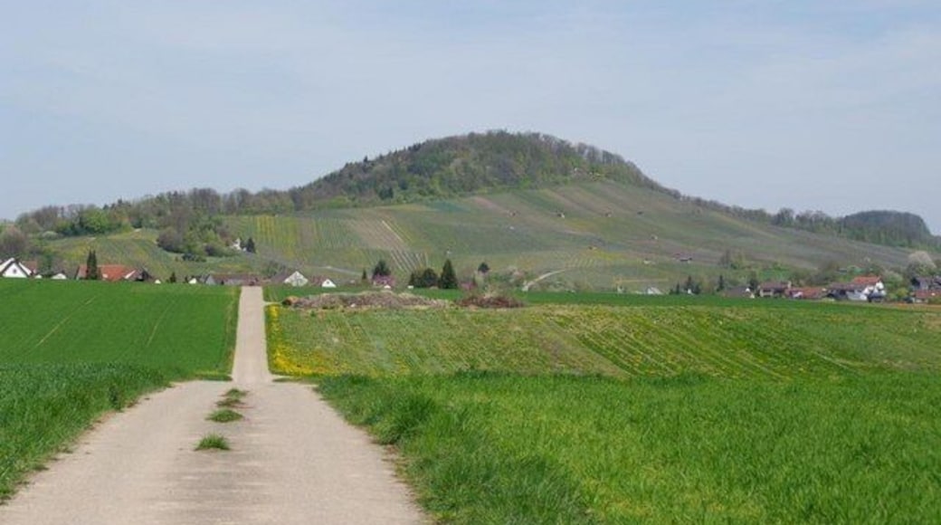 Feldweg nach Winzerhausen