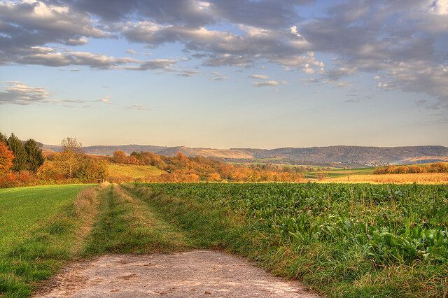 Kulturlandschaft bei Winzerhausen