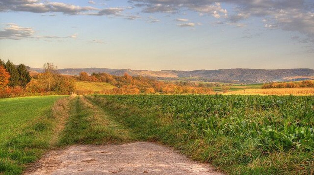 Kulturlandschaft bei Winzerhausen
