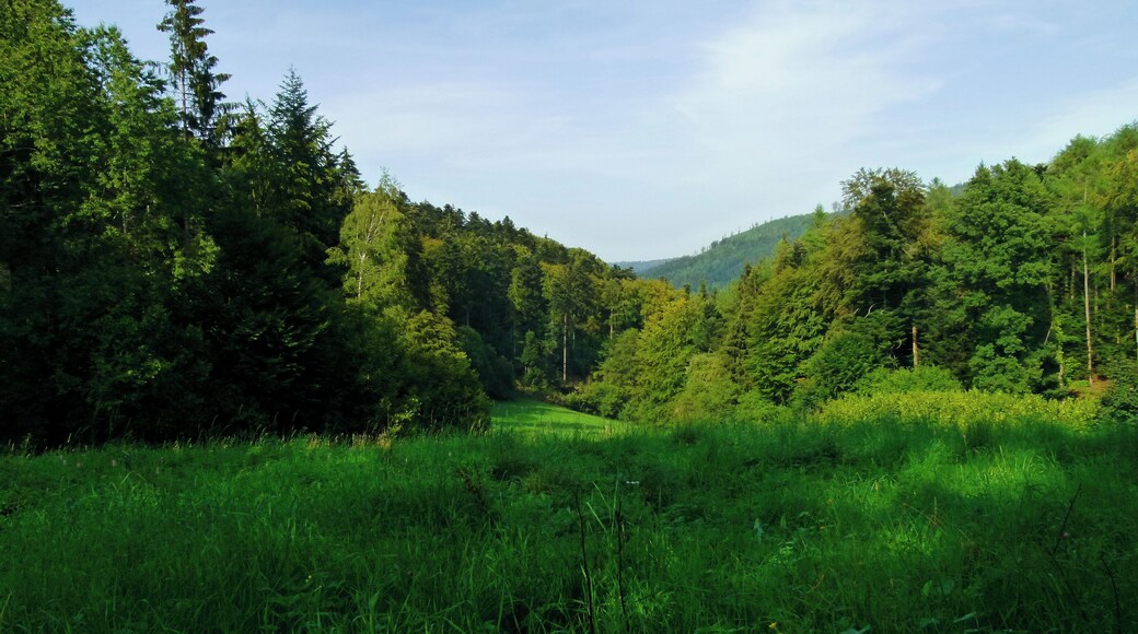 I'll Be Back For Coloured Autumn