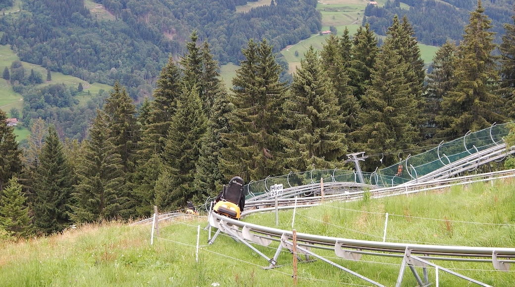 Ausblick vom Alpsee Coaster