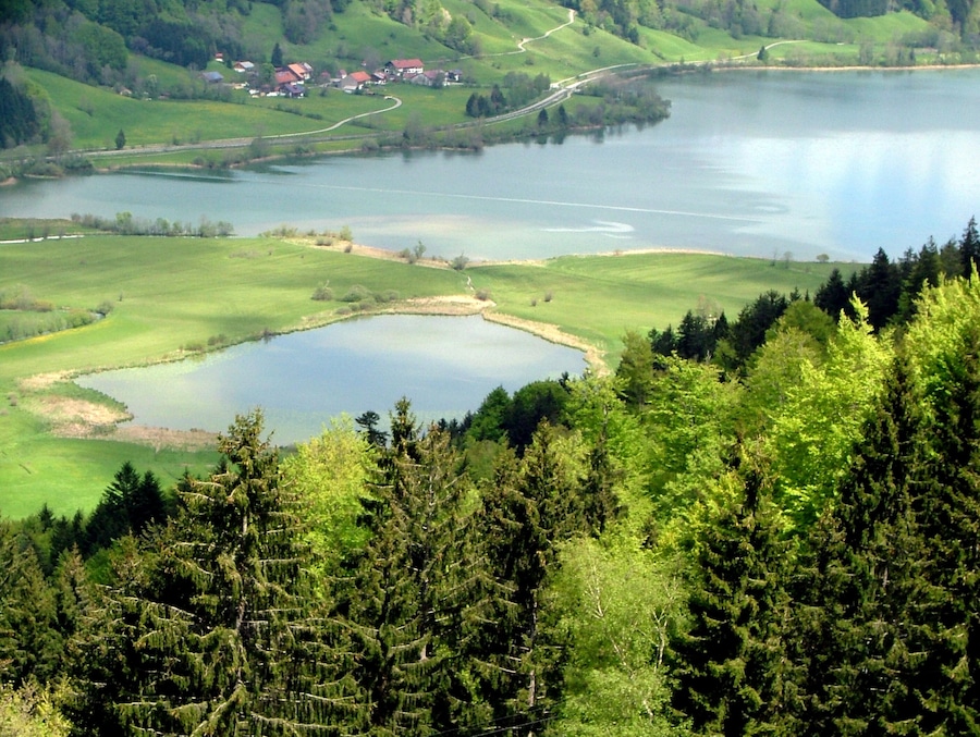 Un lago rodeado de campos verdes y árboles, con algunas casas al fondo.