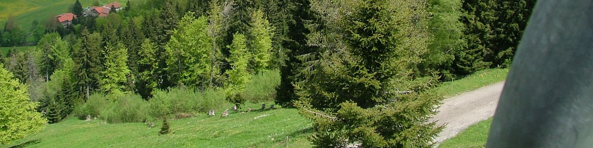 Teufelsee und Alpsee