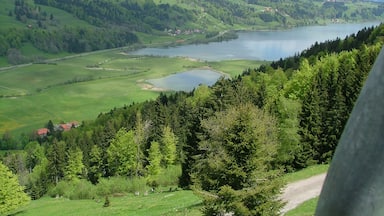 A valley with a lake, surrounded by green hills and dense forests.