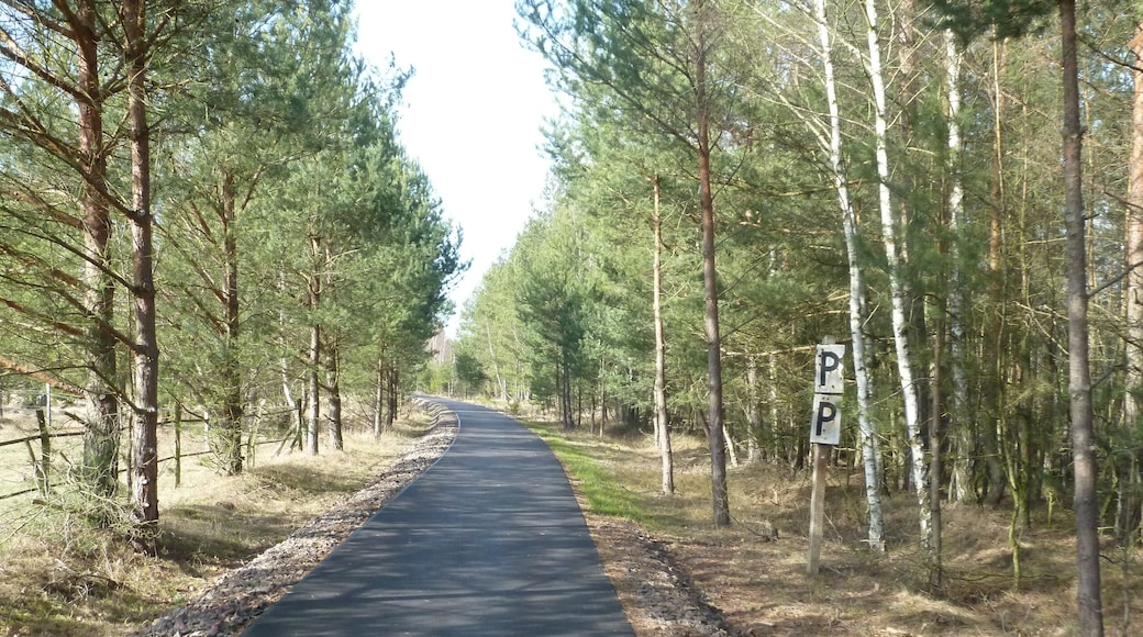 former railroad Ziesar-Görzke, bike path