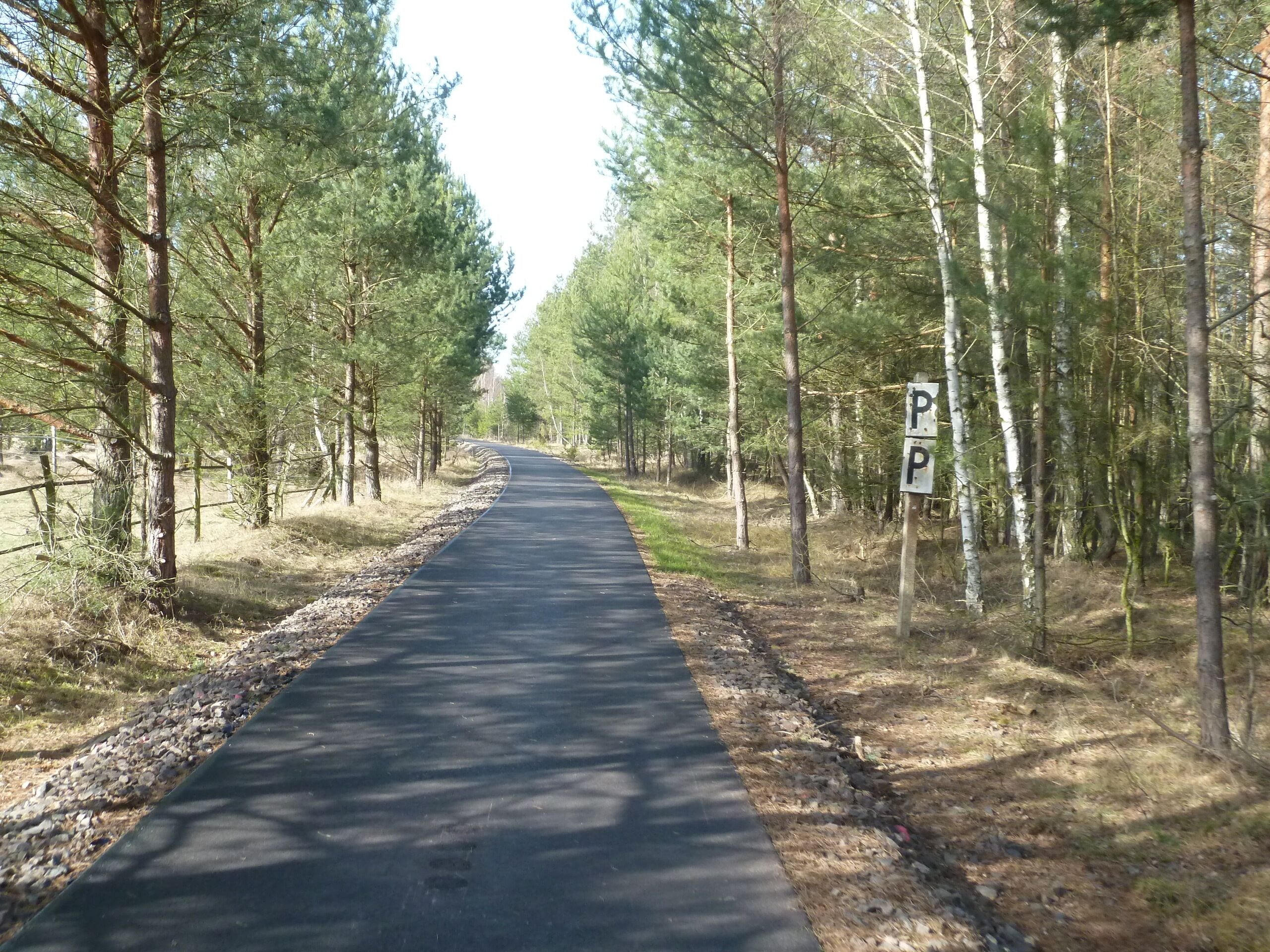 A paved road flanked by tall trees, with a parking sign visible on the right.