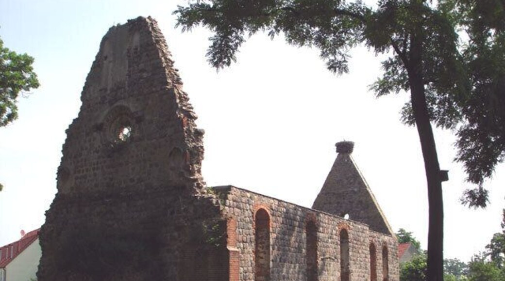 Dolgelin - Ruine der Feldsteinkirche
