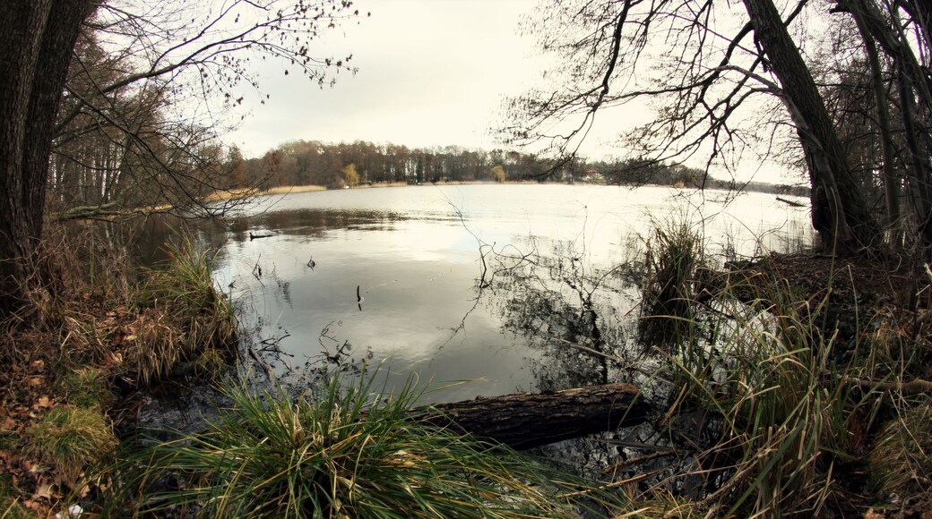 Siethener See - Brandenburg