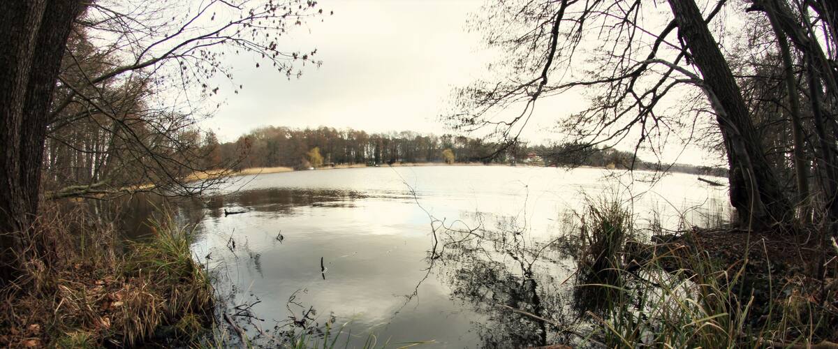 A calm lake surrounded by trees and vegetation.