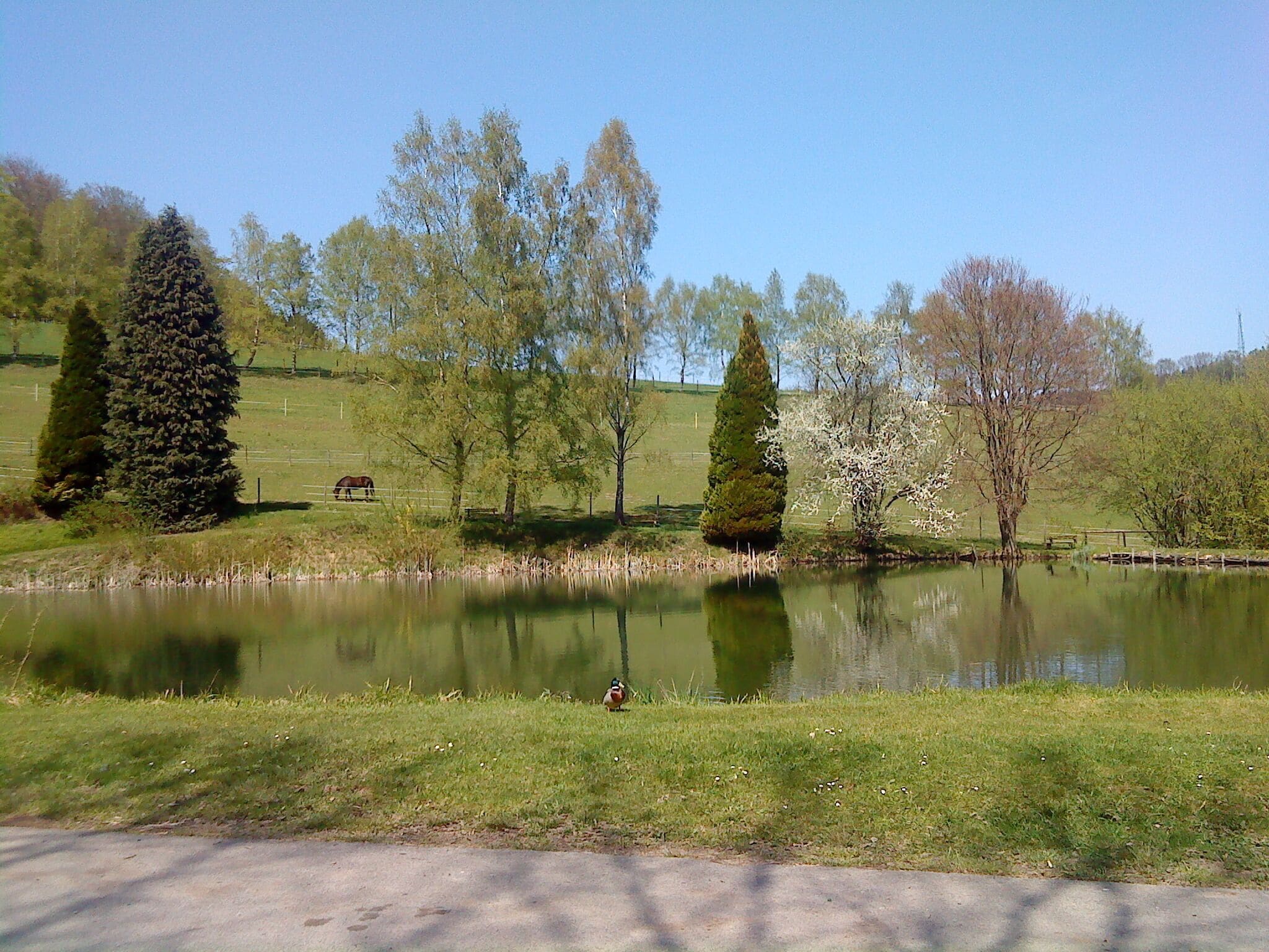 Weiher an der Quelle des Flörsbaches